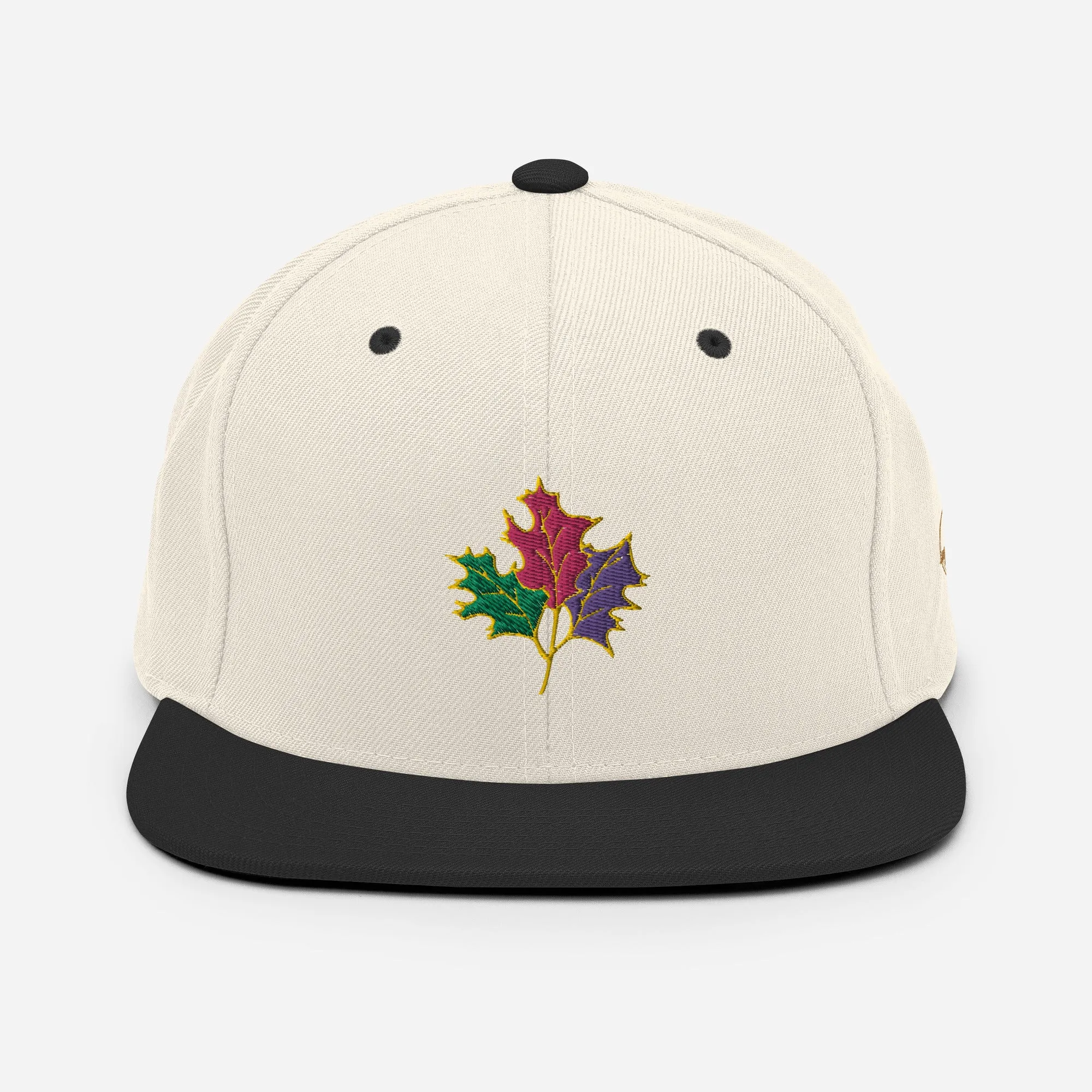 Seasons Change | Snapback Hat